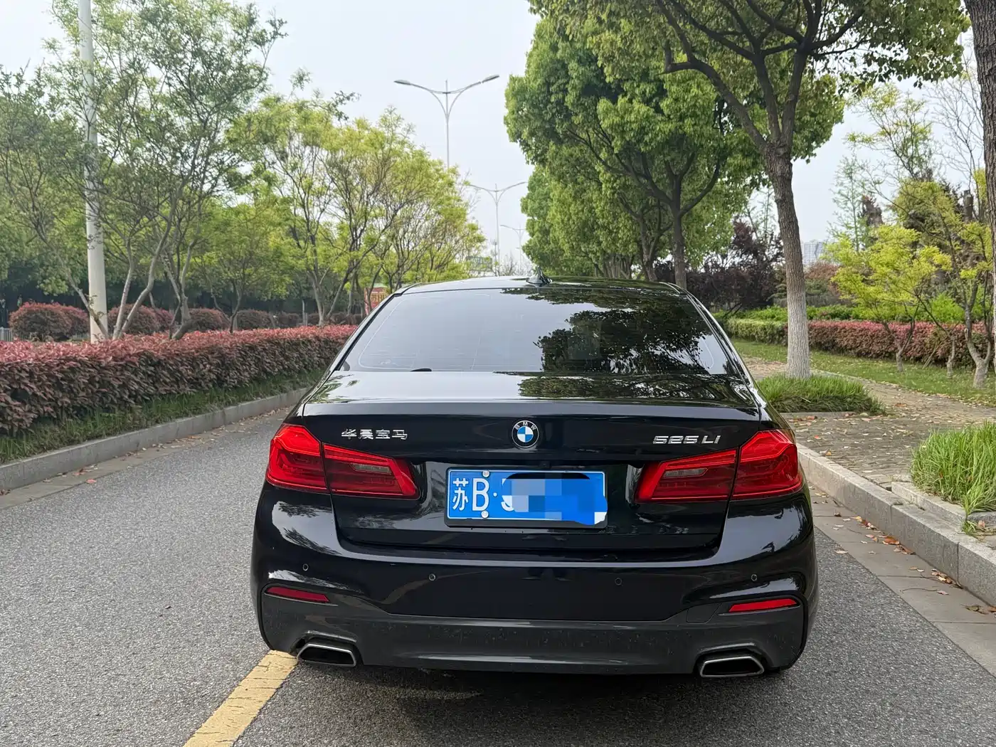 BMW 5 Series 2020 525Li M Sport Package фото 8