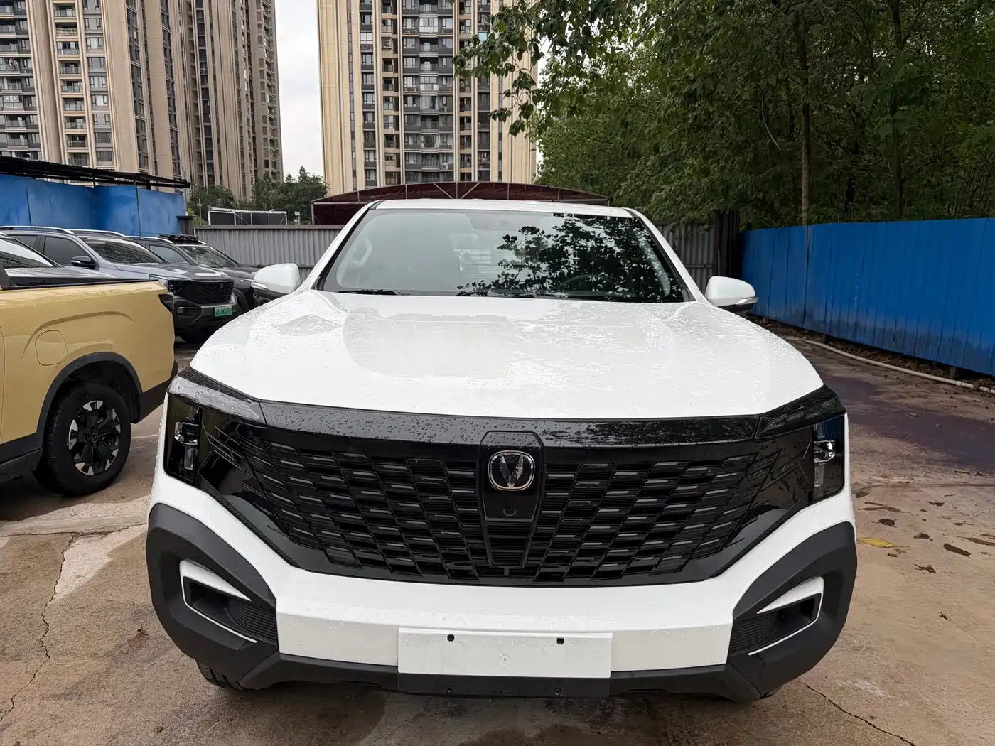 Changan Hunter 2025 2024 Warrior Edition Luxury Single Motor Extra Long Box