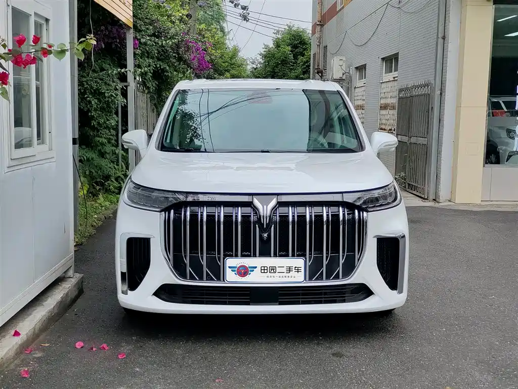 Voyah Auto Voyah Dreamer 2022 Low Carbon Edition Home фото 2