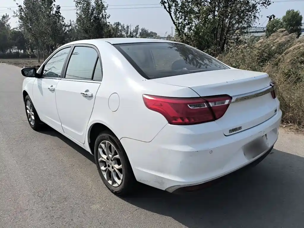 Фото 5 - Geely Vision