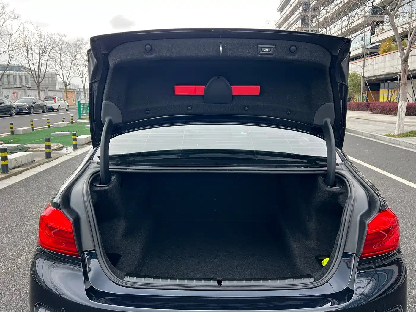 BMW 5 Series 2020 530Li Leading M Sport Package фото 18