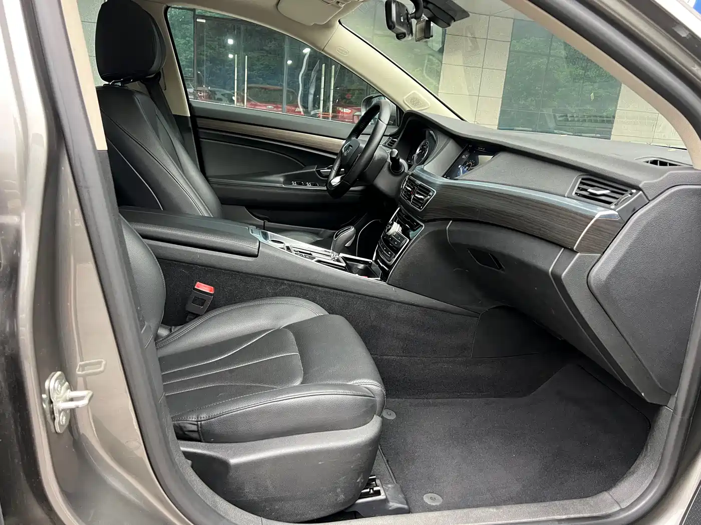 Фото 22 - Geely Borui