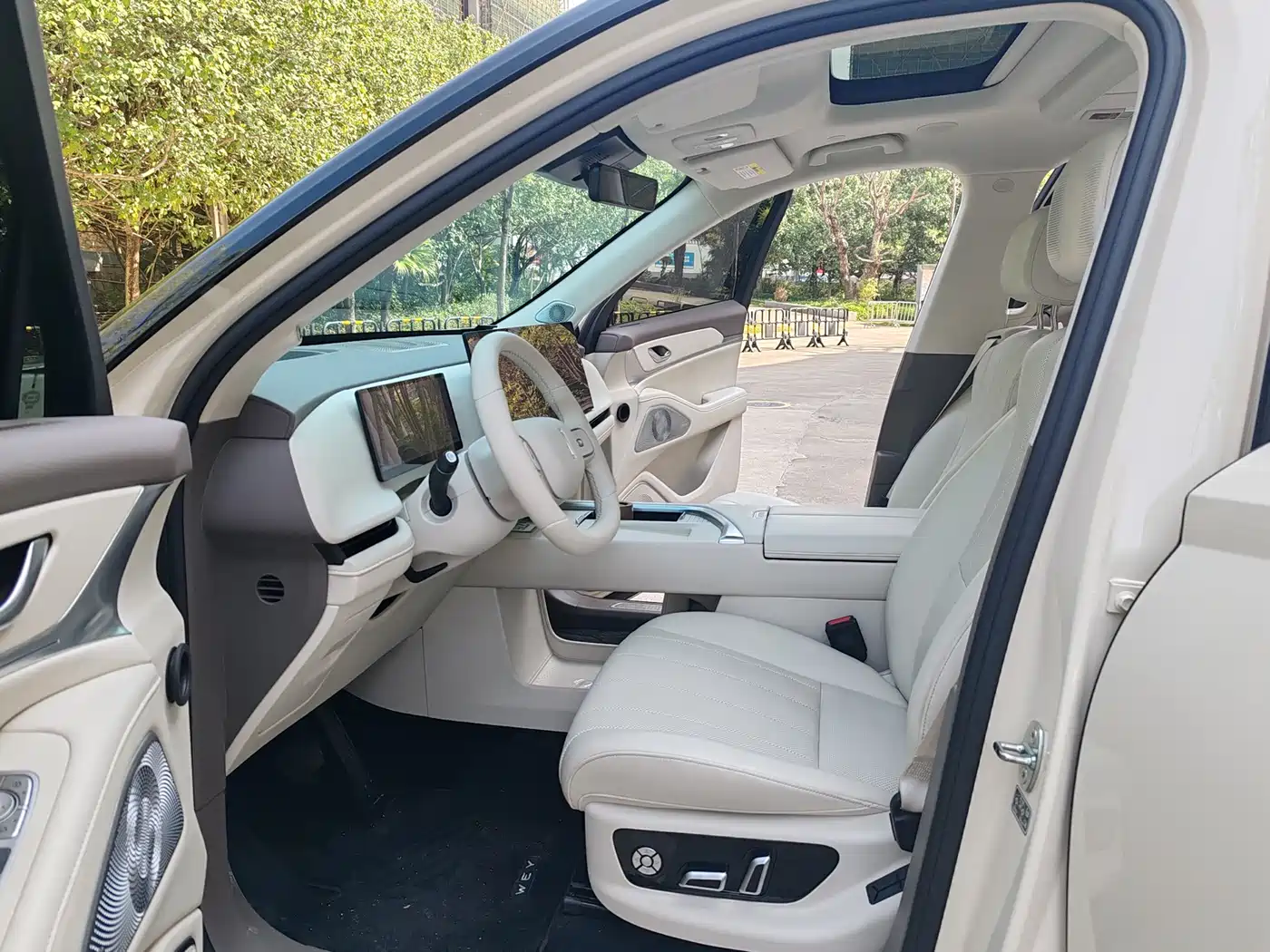 WEI PAI WEI BRAND BLUE MOUNTAIN