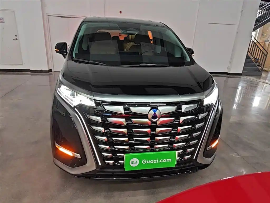 Denza D9 2024 DM-i 980 AWD Prestige фото 3