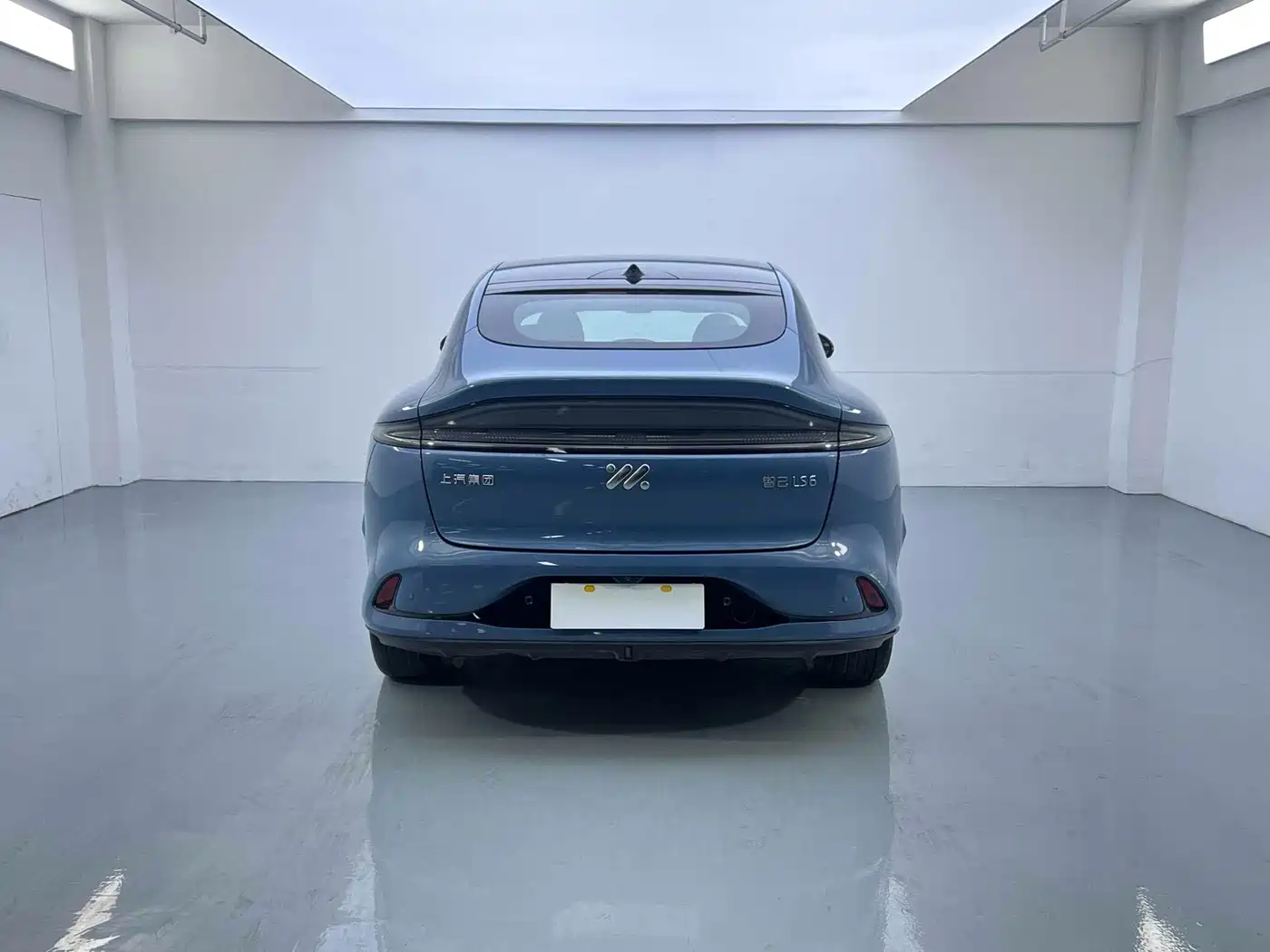 ZHIJI AUTOMOBILE ZHIJI LS6