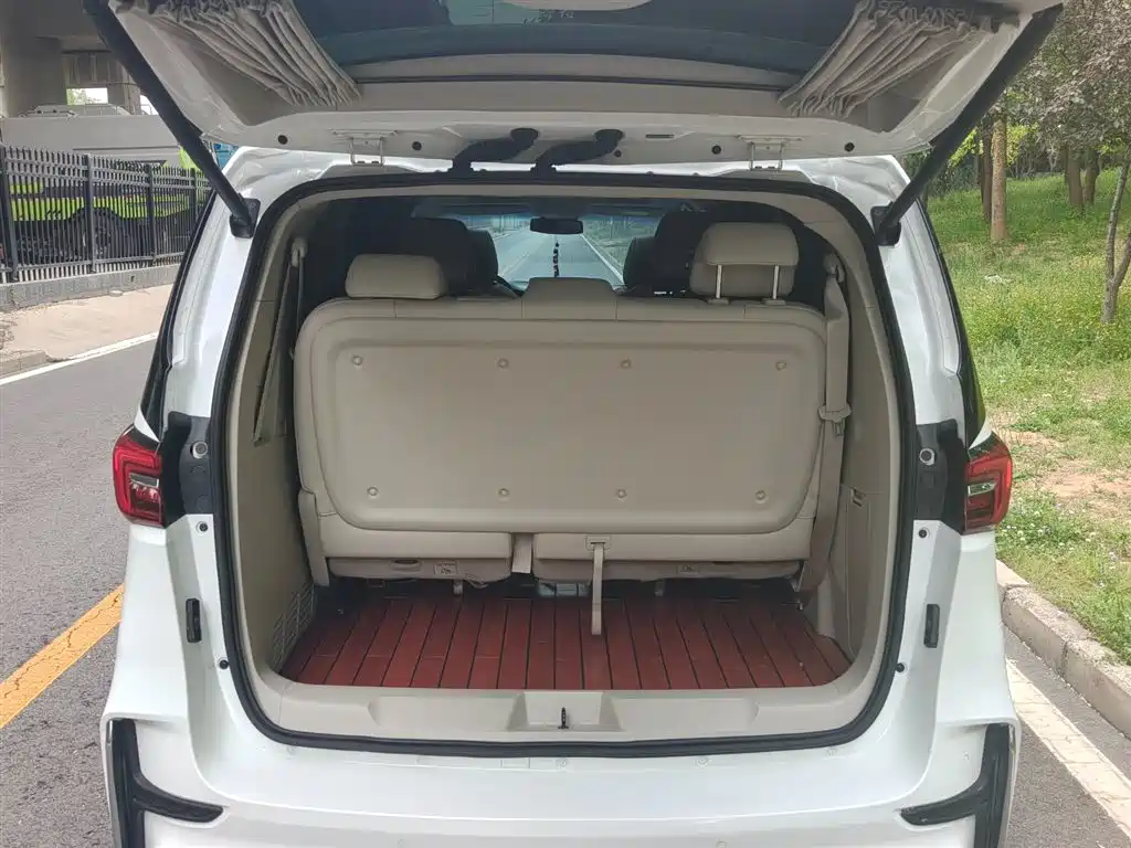 Buick GL8 2021 Land Business Class 652T Luxury фото 6