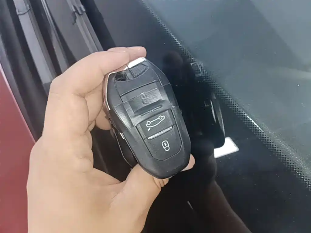 DS 5LS 2018 2018 30THP Premium Edition