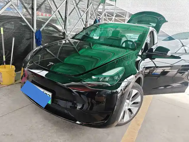 Tesla Model Y Задний привод