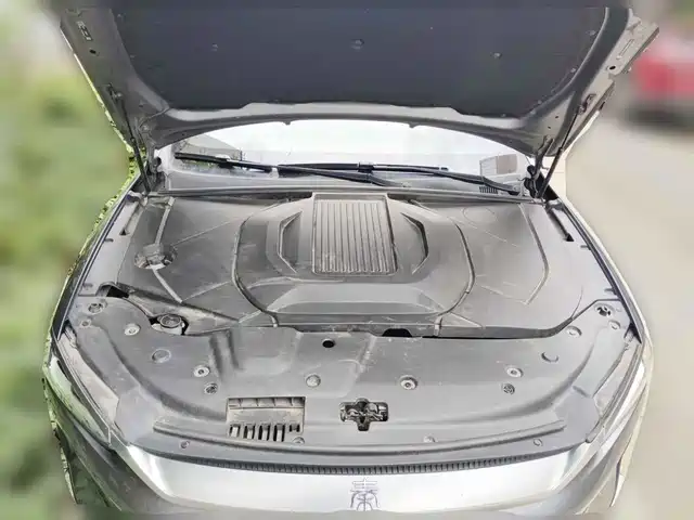 BYD Qin PLUS 2023 Champion Edition EV 510KM Leading Type — фото 3