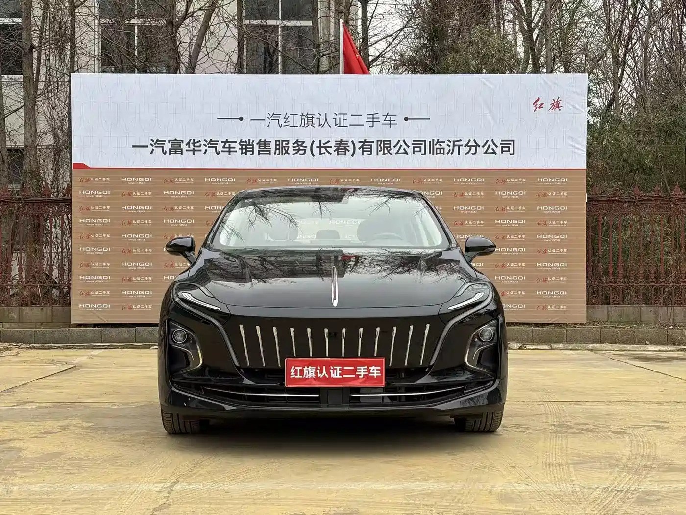 Hongqi HONGQI E QM5