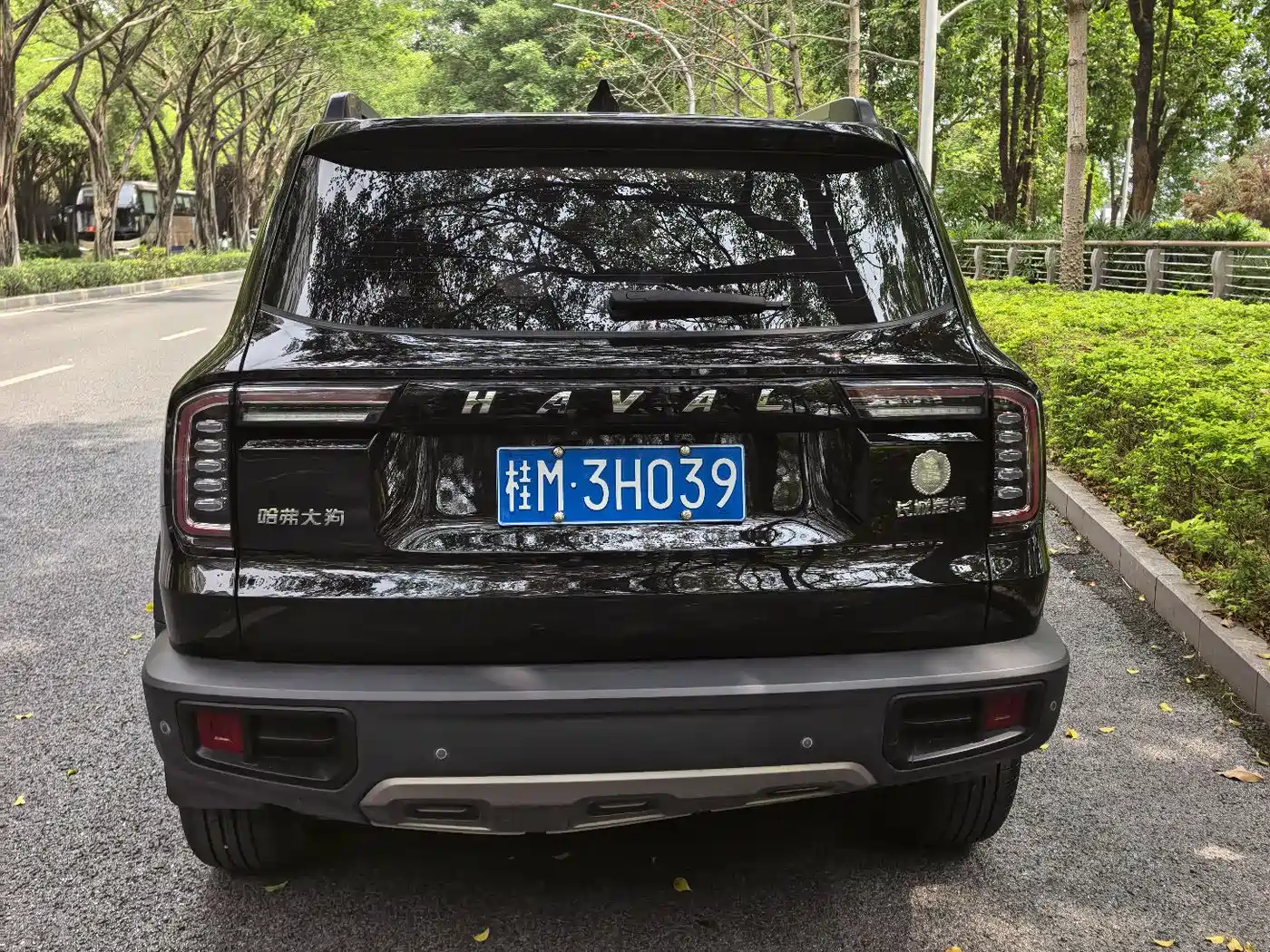 Haval Big Dog 2021 1.5T DCT 2WD Border Collie - Wangcai Edition фото 10