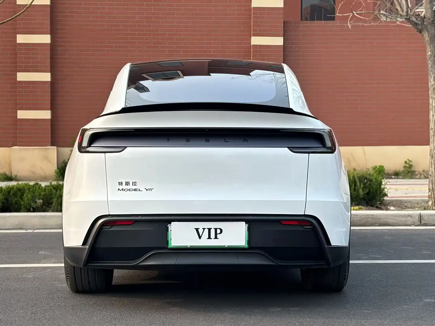 Tesla Model Y L 2025 Facelift Long Range AWD фото 7