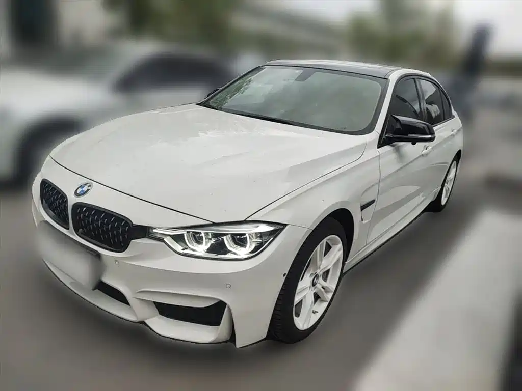 BMW 3 Series 2019 320Li M Sport Package