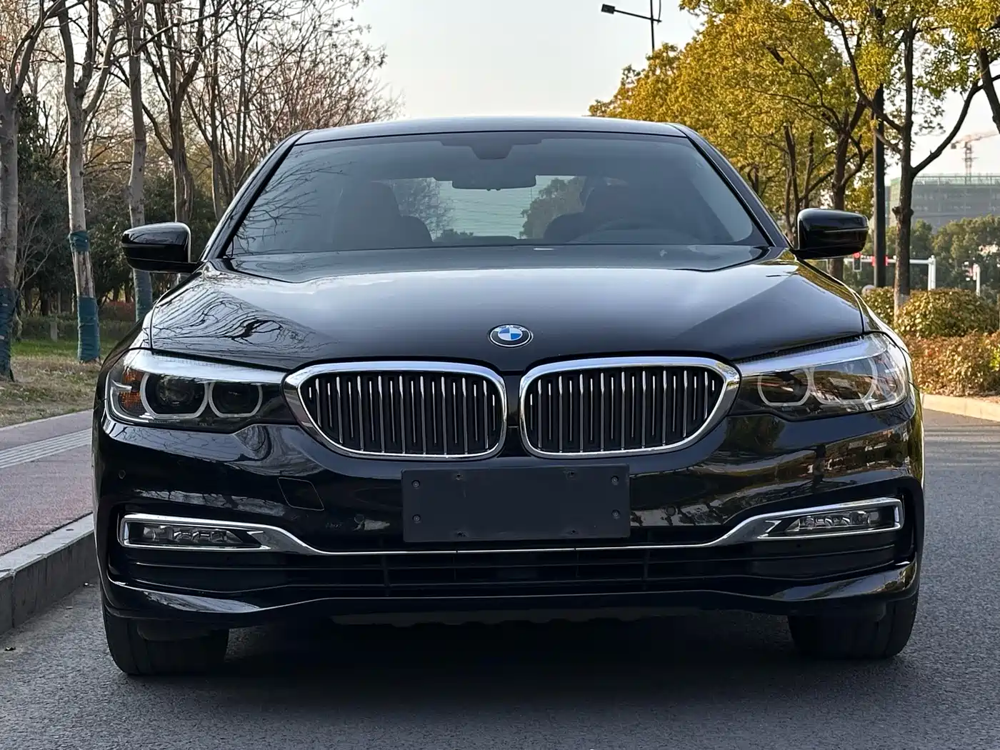 BMW 5 Series 2018 530Li xDrive Luxury Package фото 2