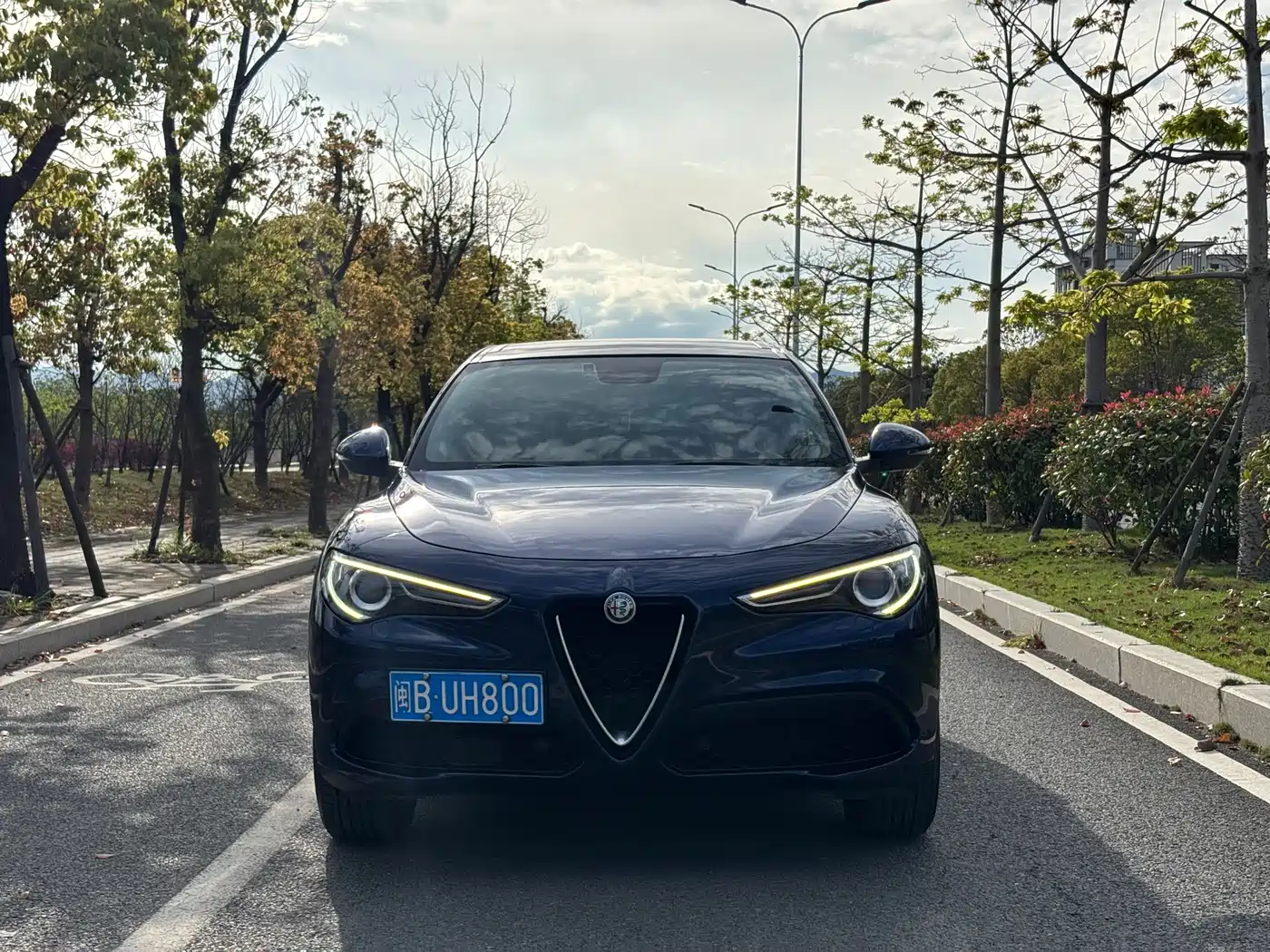 ALFA ROMEO STELVIO