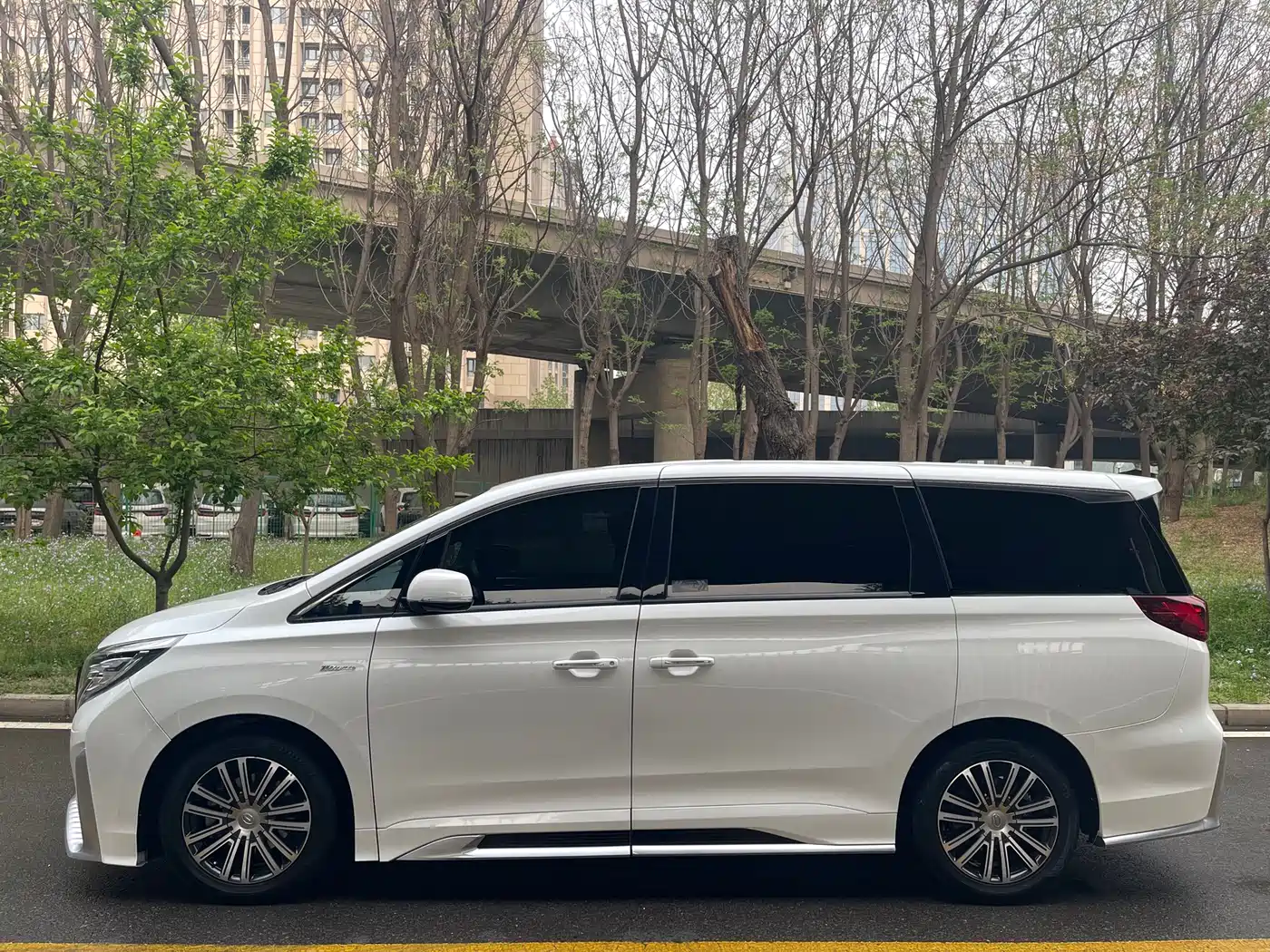 GAC Trumpchi Trumpchi M8 2021 Master Series 390T Prestige Edition фото 4