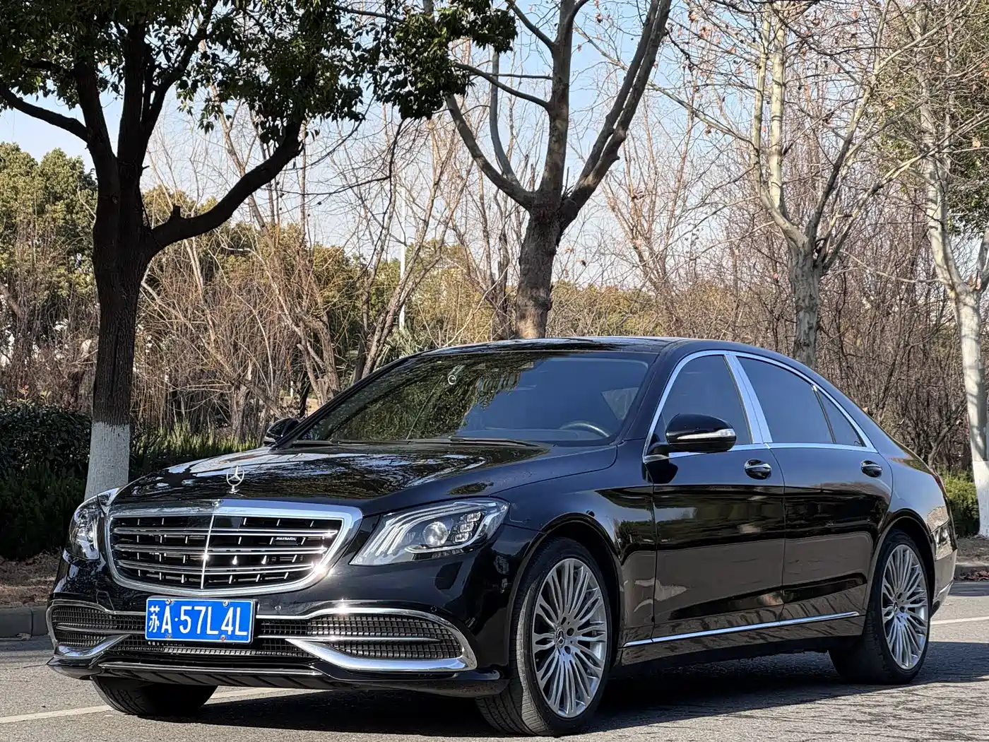 Mercedes-Benz S-Class 2019 S 320 L