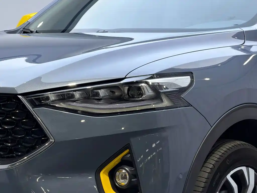 Haval F7x 2020 2019 2.0T 4WD Performance Edition