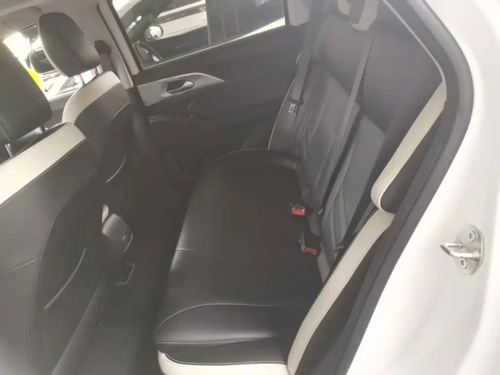 Geely Geometry E Firefly 2023 2022 401KM Delicate Tiger 4-seater