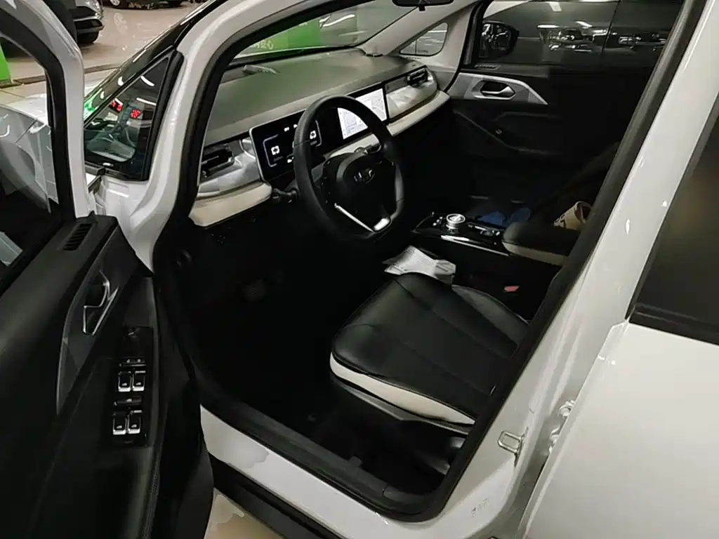 Geely Geometry E Firefly 2022 2022 401KM Delicate Tiger 4-seater