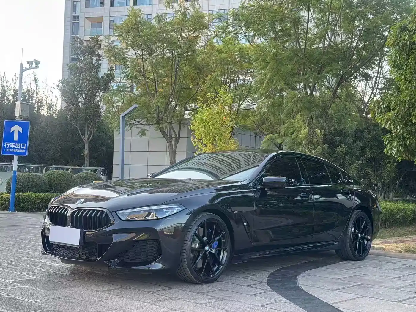 BMW 8 Series 2019 — пригон из Китая