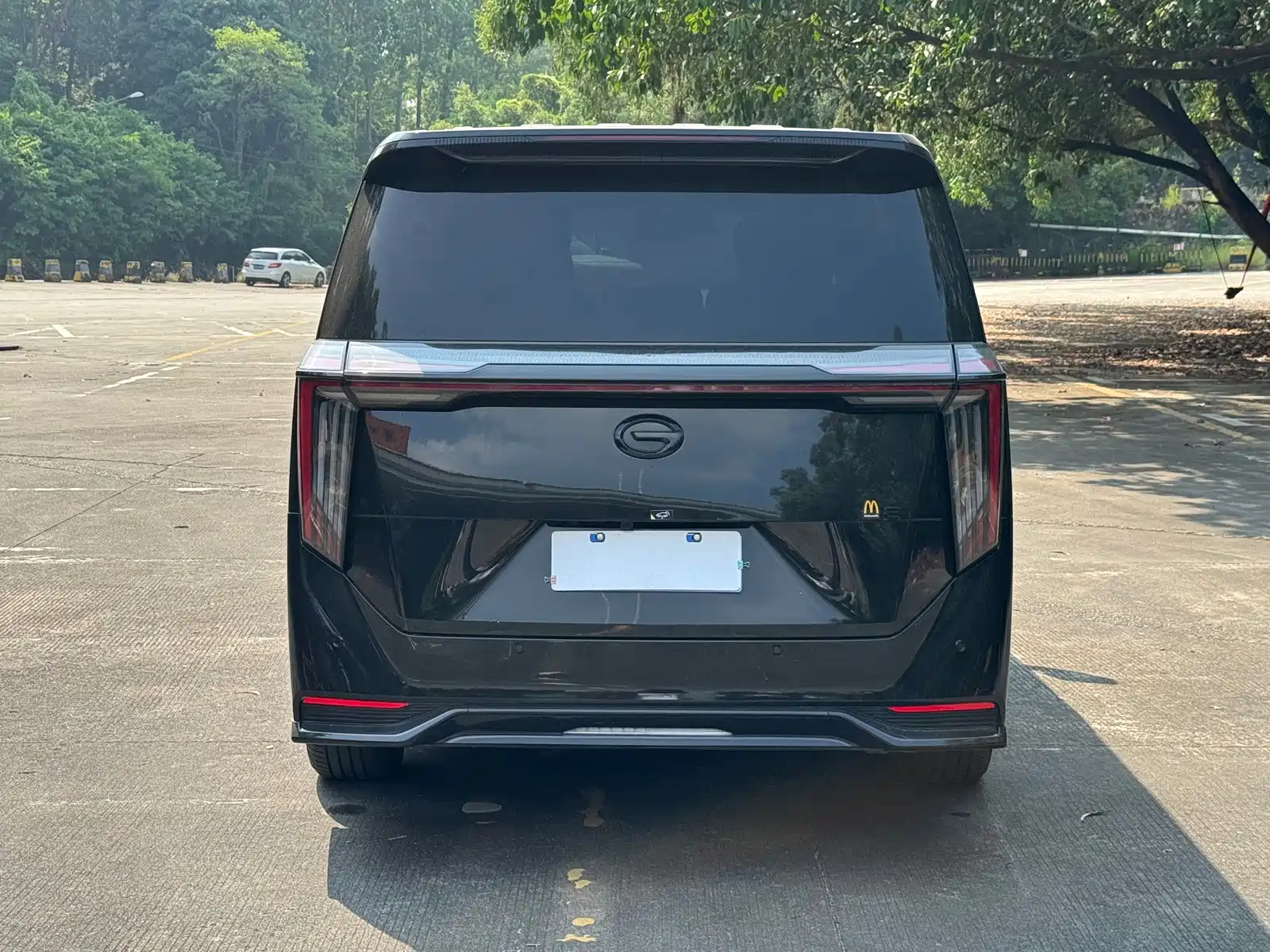 Фото 10 - GAC Trumpchi M8
