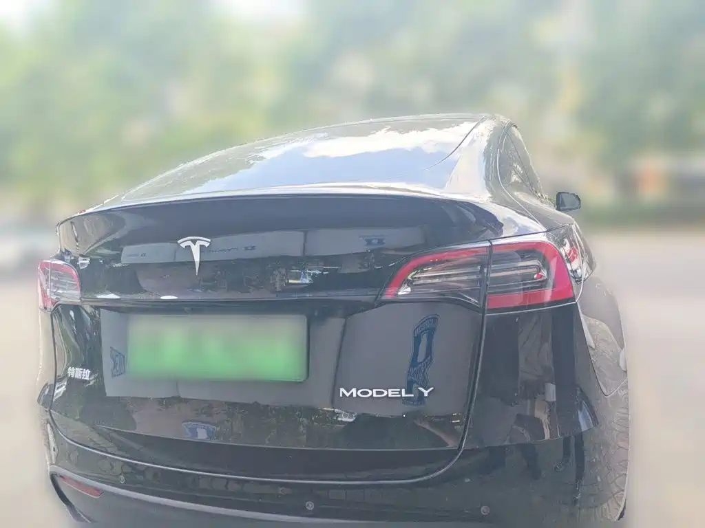 Tesla Model Y 2021 2021 Standard Range Rear-Wheel Drive