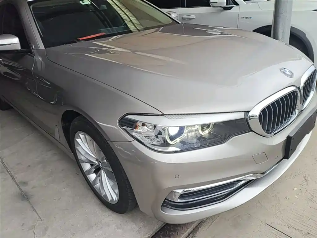 BMW 5 Series 2020 525Li Luxury Package фото 4