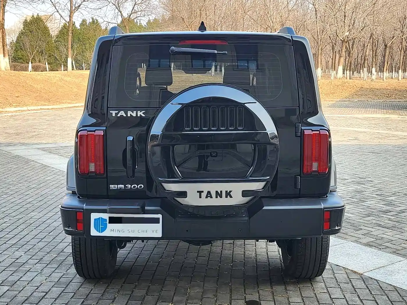 TANK TANK 300