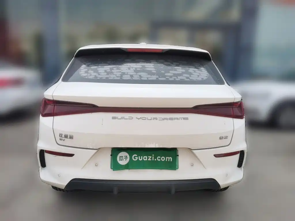 BYD e2 2021 2020 Upgrade Standard Range Standard Model