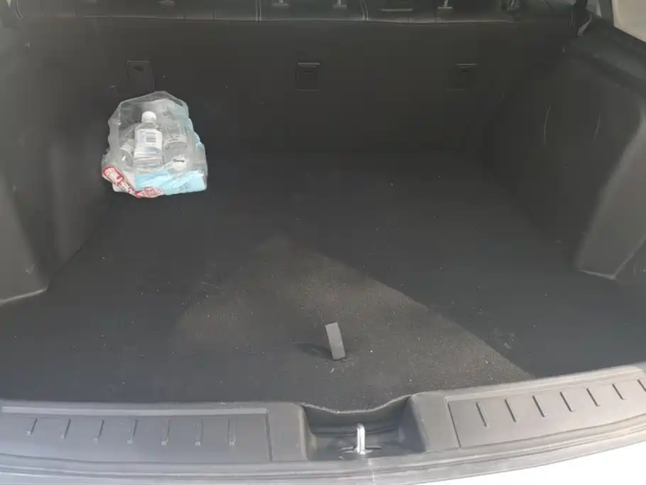 BYD e6