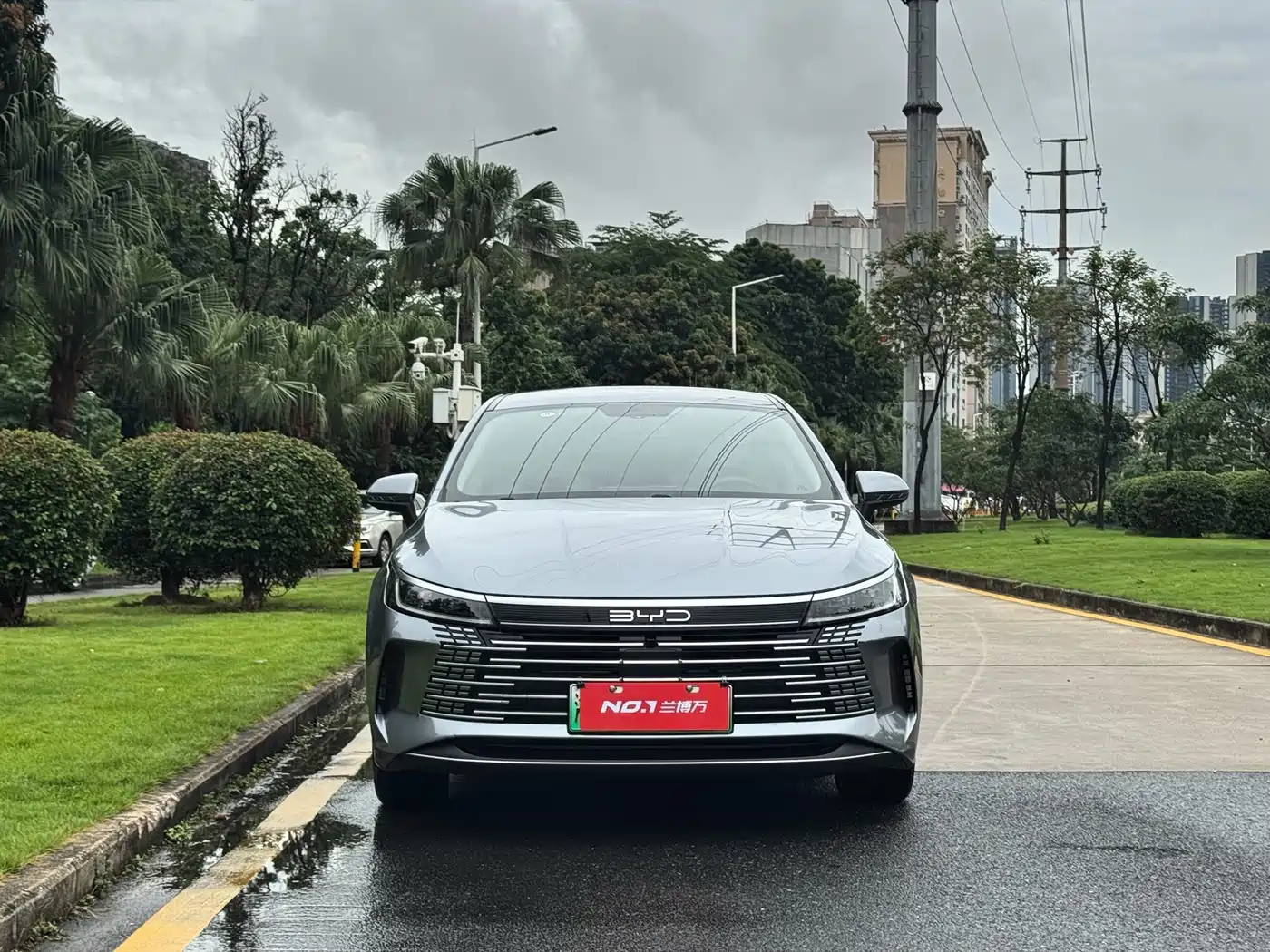 BYD Destroyer 05 2023 Champion Edition DM-i 120KM Premium фото 2