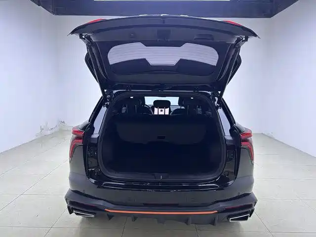 HAVAL DIVINE BEAST