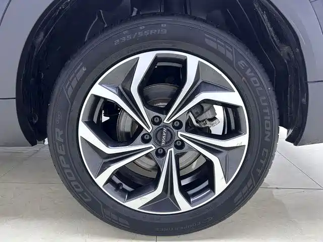 HAVAL DIVINE BEAST