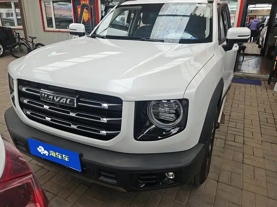 HAVAL BIG DOG