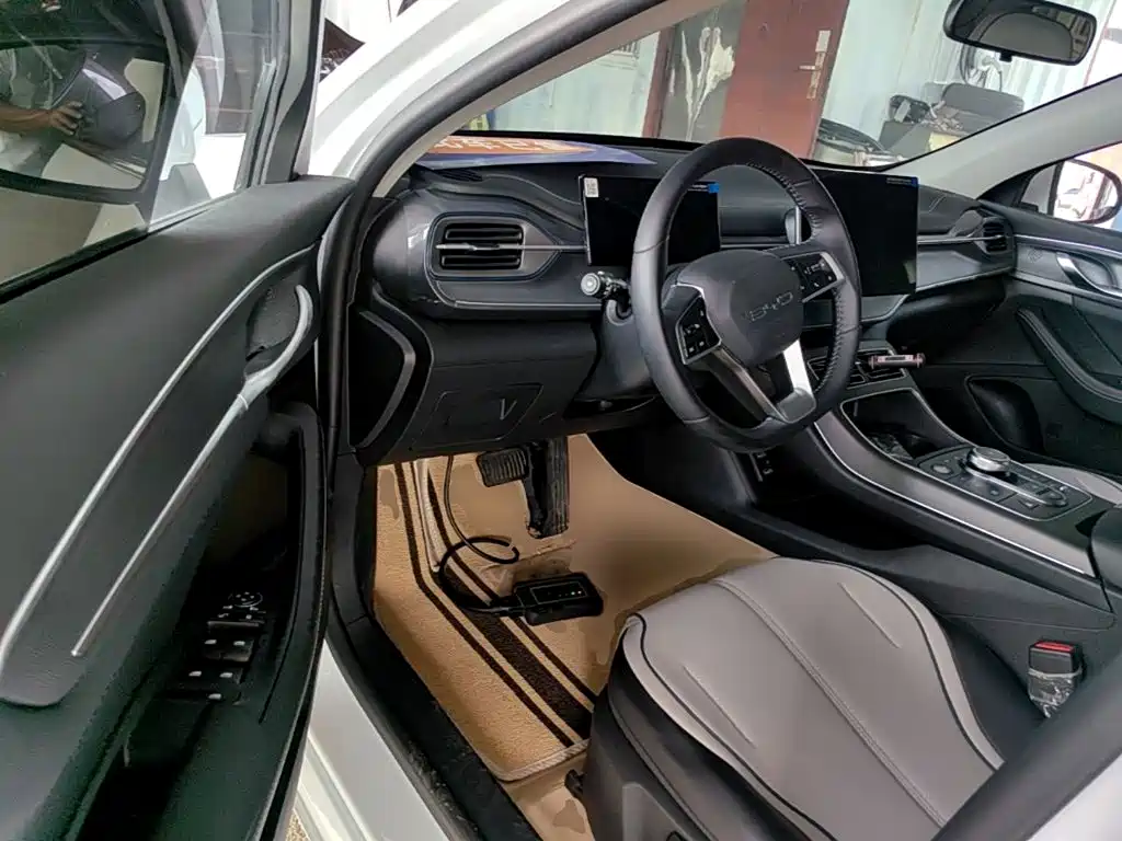 BYD Destroyer 05 2025 2024 Glory Edition DM-i 55KM Luxury