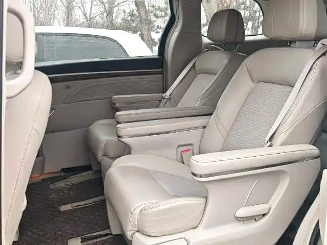 GAC Trumpchi Trumpchi M8 2020 Pilot 390T Luxury Edition фото 6