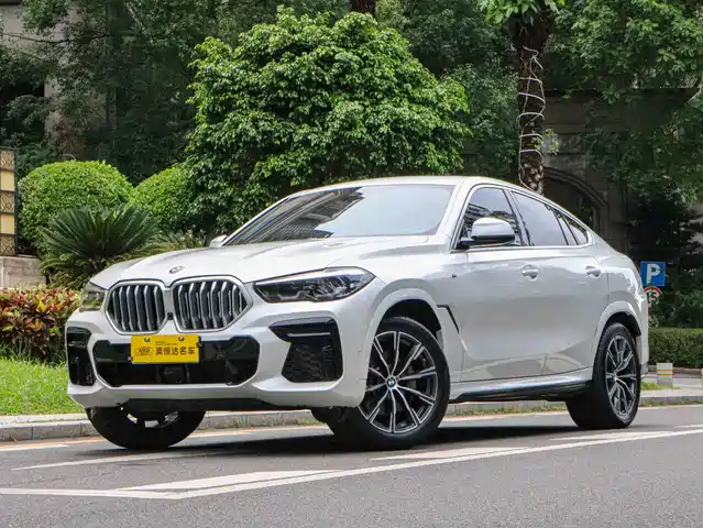 BMW X6 2021 xDrive30i M Sport Package