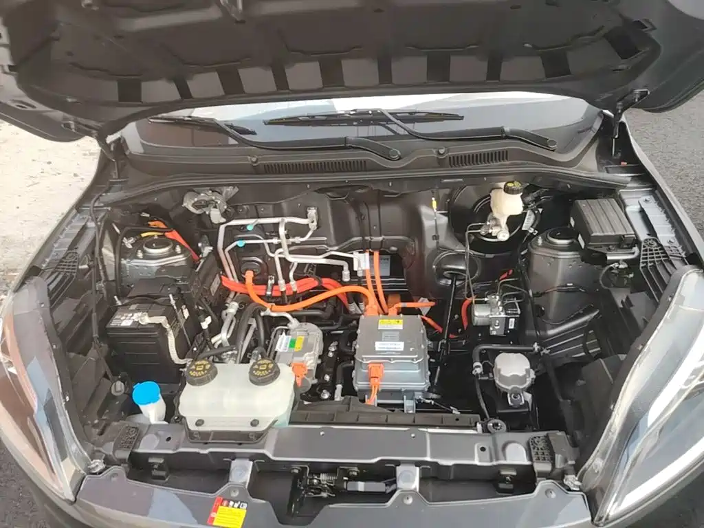 Wuling Motors Wuling Hongguang New Energy 2026 2024 Pure Electric 300KM Standard