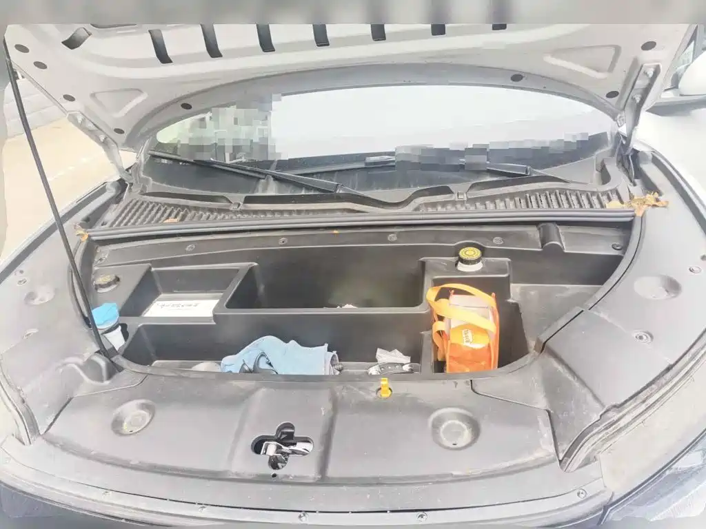BYD Yuan UP 2025 2025 Model 301KM Navigator