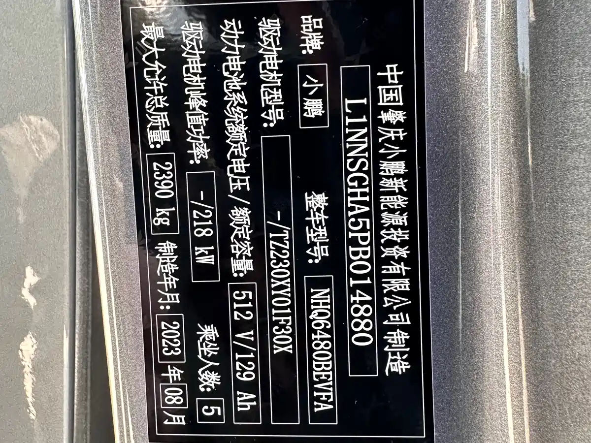 Фото 19 - XPeng G6
