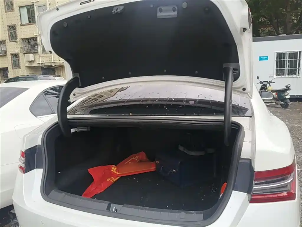 BYD Qin Pro New Energy 2019 DM Super Edition 1.5TI Automatic Smart Connected Jin Xuan Type China VI фото 15