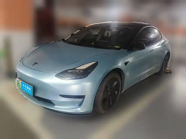 Tesla Model 3 2021 Standard Range Rear-Wheel Drive Upgrade 3D6 — фото 1