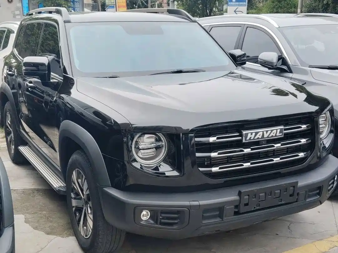 Фото 3 - Haval Dargo