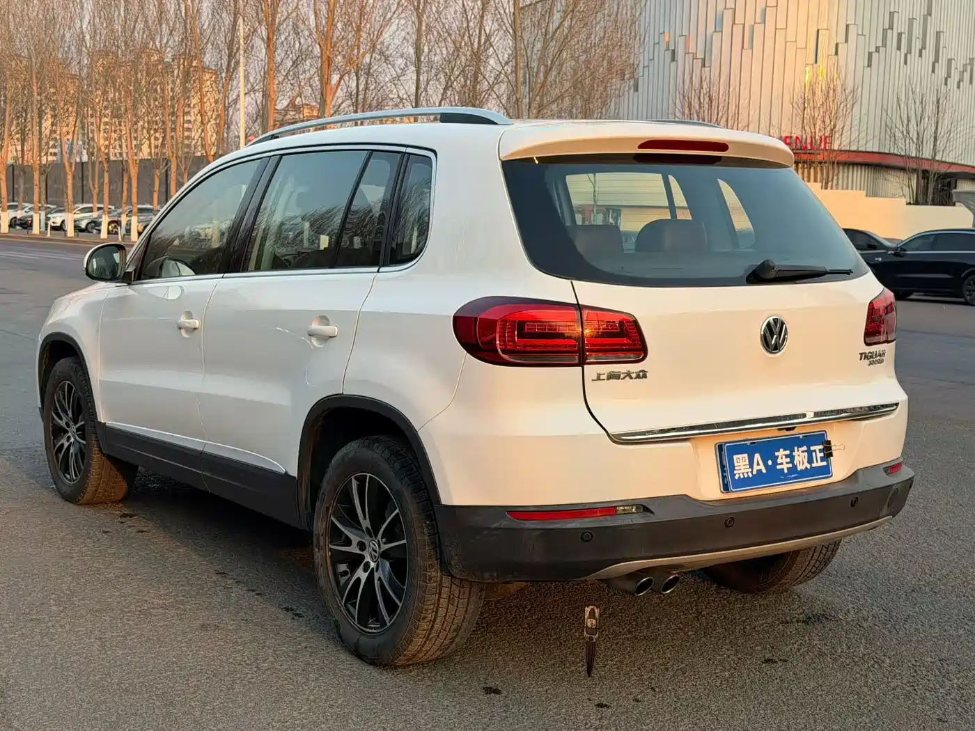 VOLKSWAGEN TIGUAN
