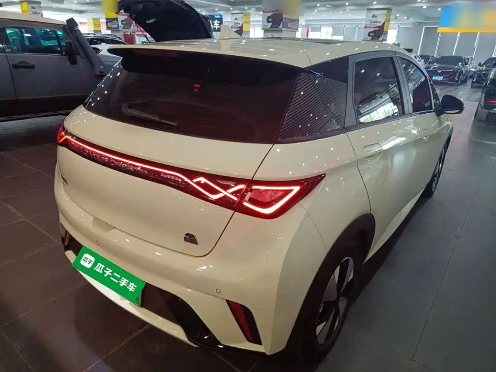 BYD Dolphin 2023 420km Fashion Edition фото 5