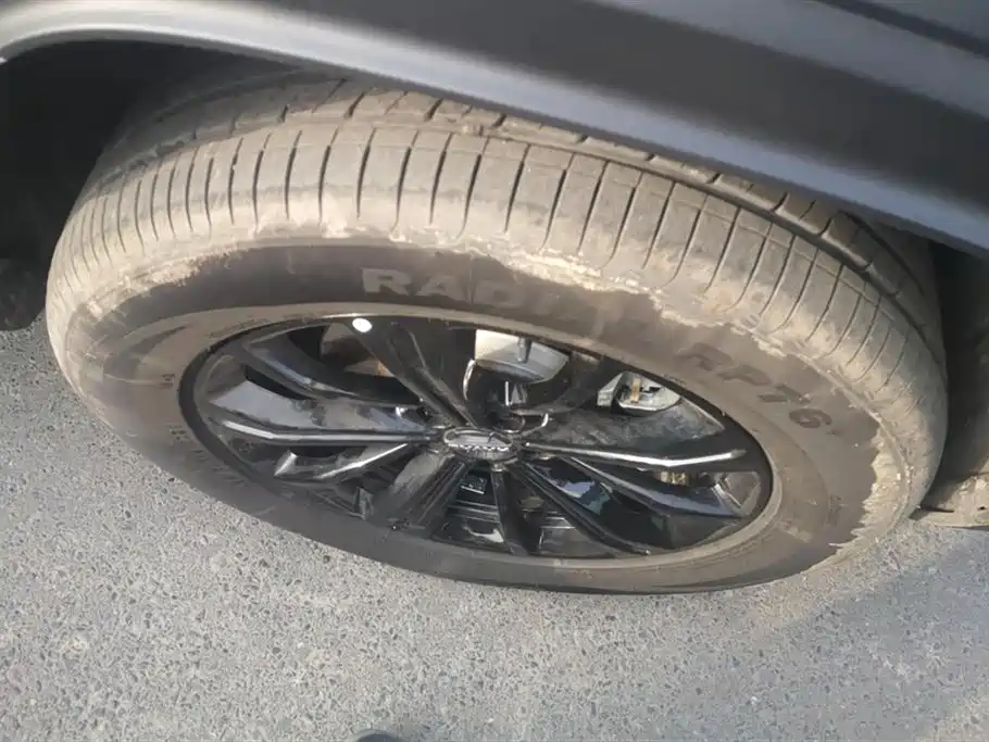 HAVAL RAPTORS NEW ENERGY