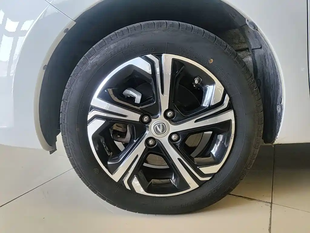 Changan Benben E-Star 2021 2020 Heartbeat Edition (NMC Battery)