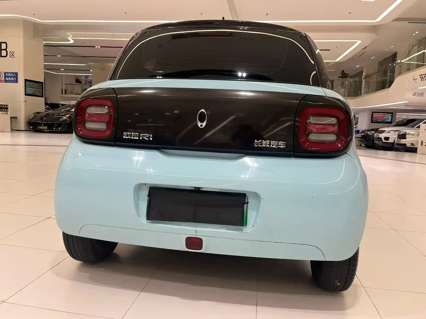 Ora Black Cat 2019 2019 Model 351km Smart Fun Edition