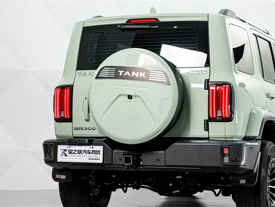 TANK 300